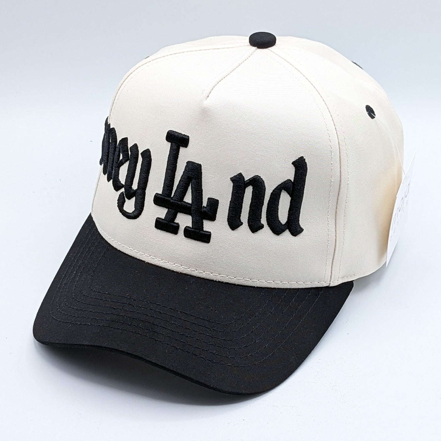 Disneyland Disney LAnd Hat - Multiple Colors - 5-Panel Embroidered Snapback Hat A-Frame