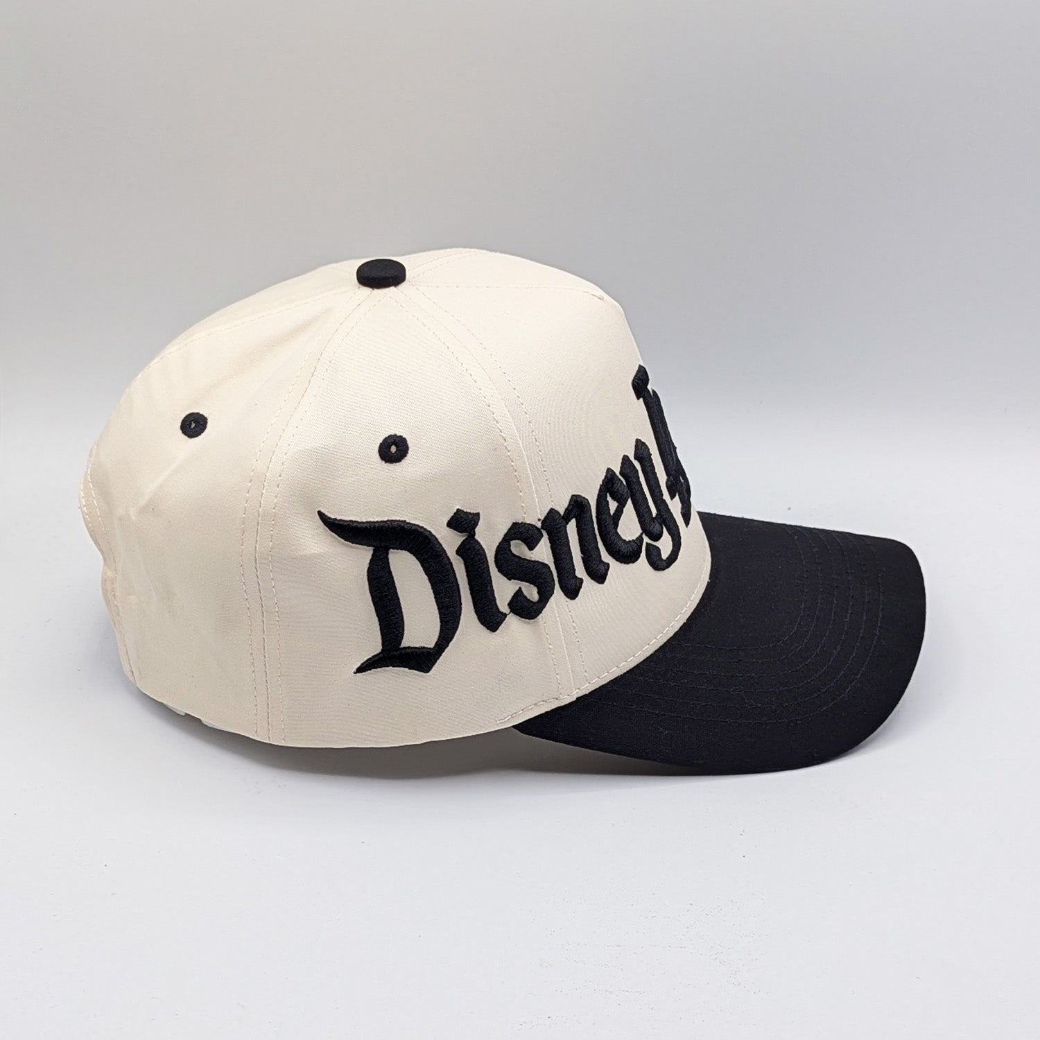 Disneyland Disney LAnd Hat - Multiple Colors - 5-Panel Embroidered Snapback Hat A-Frame