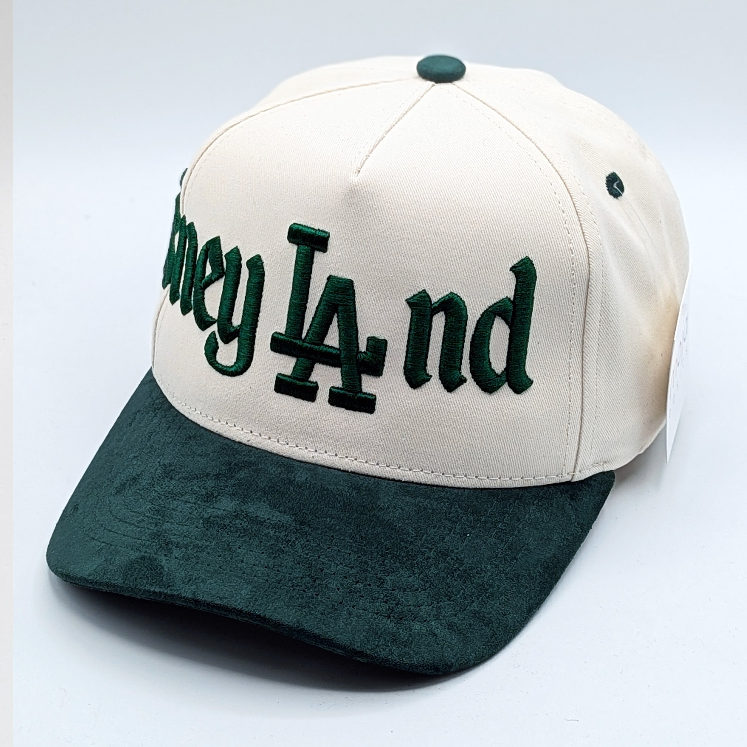 Disneyland Disney LAnd Hat - Multiple Colors - 5-Panel Embroidered Snapback Hat A-Frame
