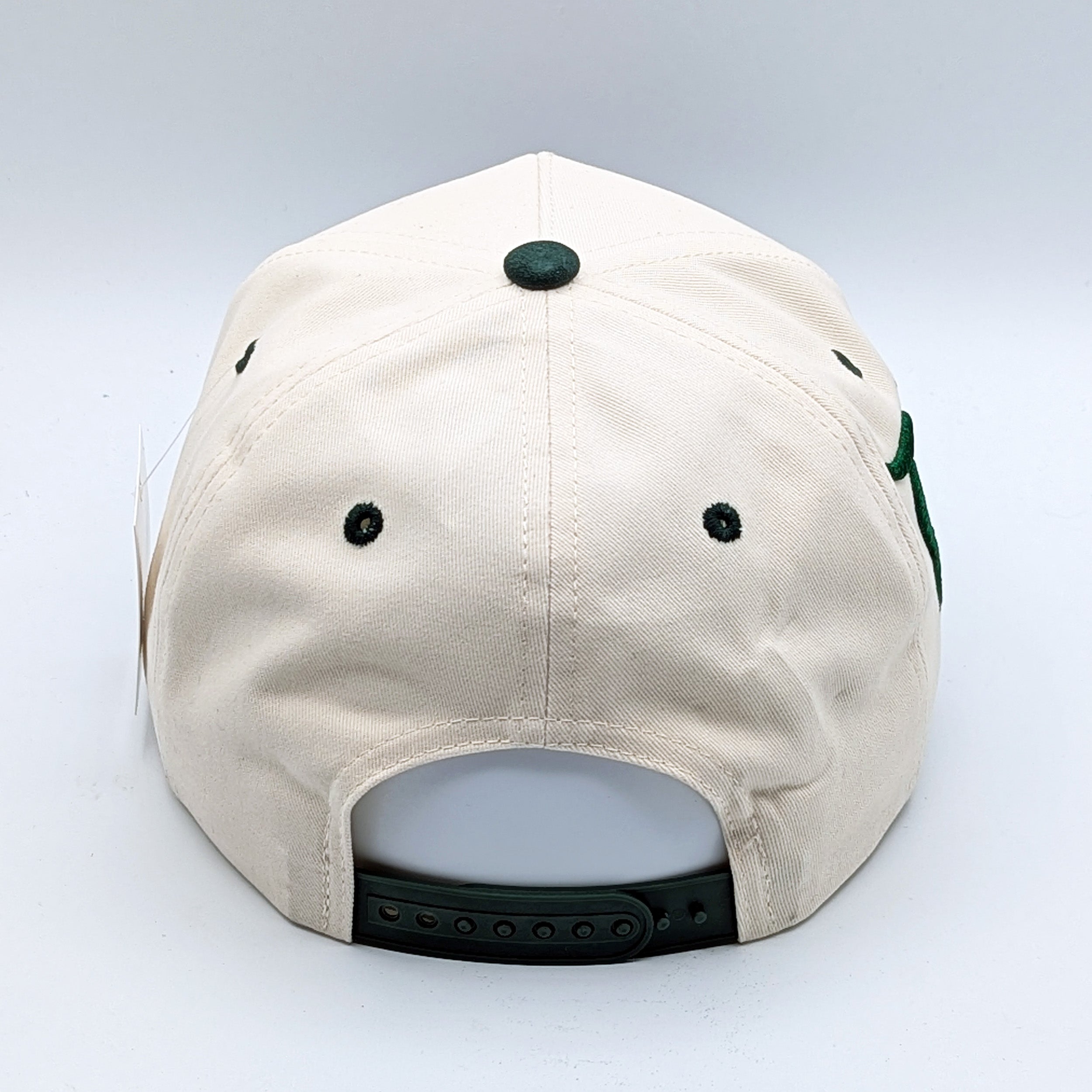 Disneyland Disney LAnd Hat - Multiple Colors - 5-Panel Embroidered Snapback Hat A-Frame