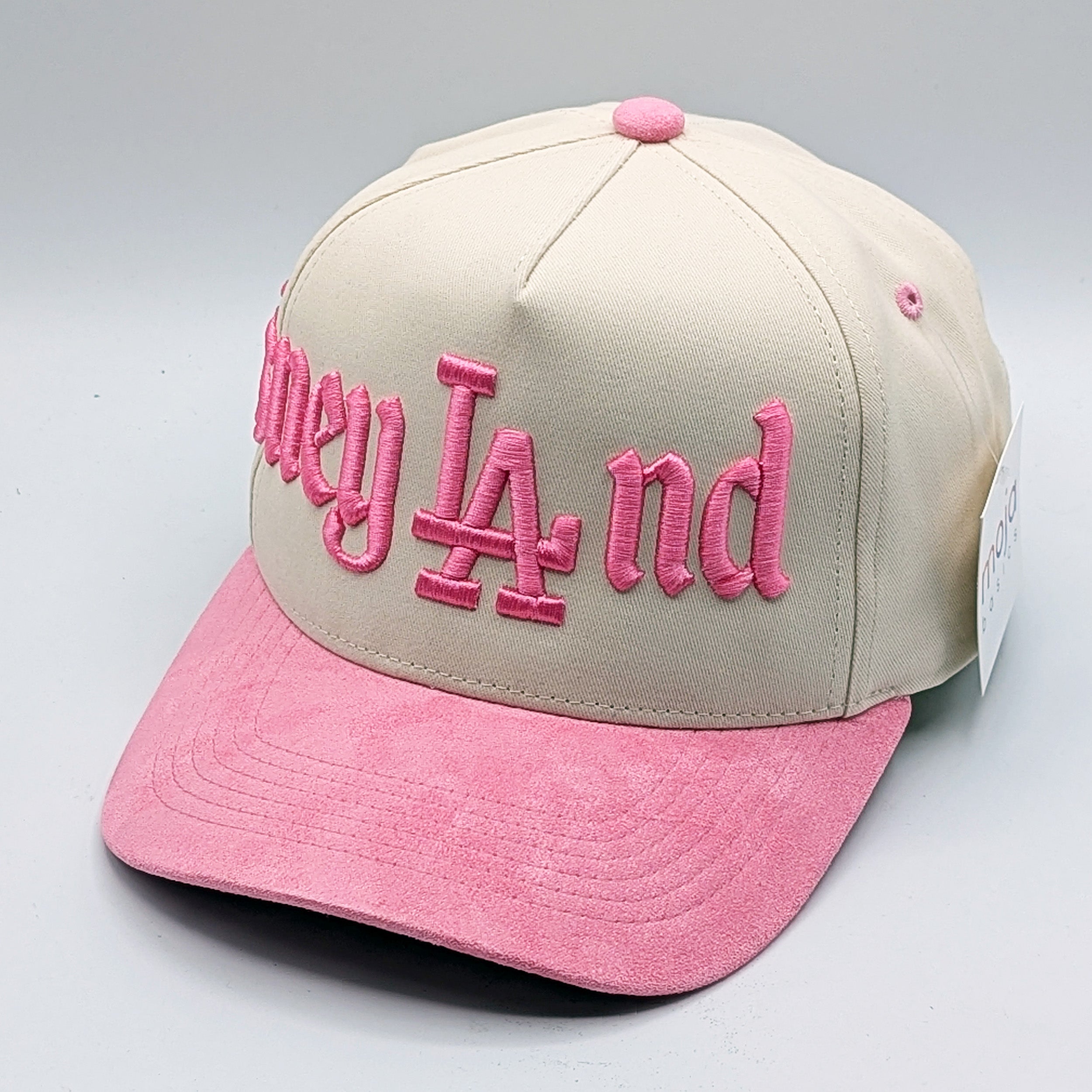 Disneyland Disney LAnd Hat - Multiple Colors - 5-Panel Embroidered Snapback Hat A-Frame