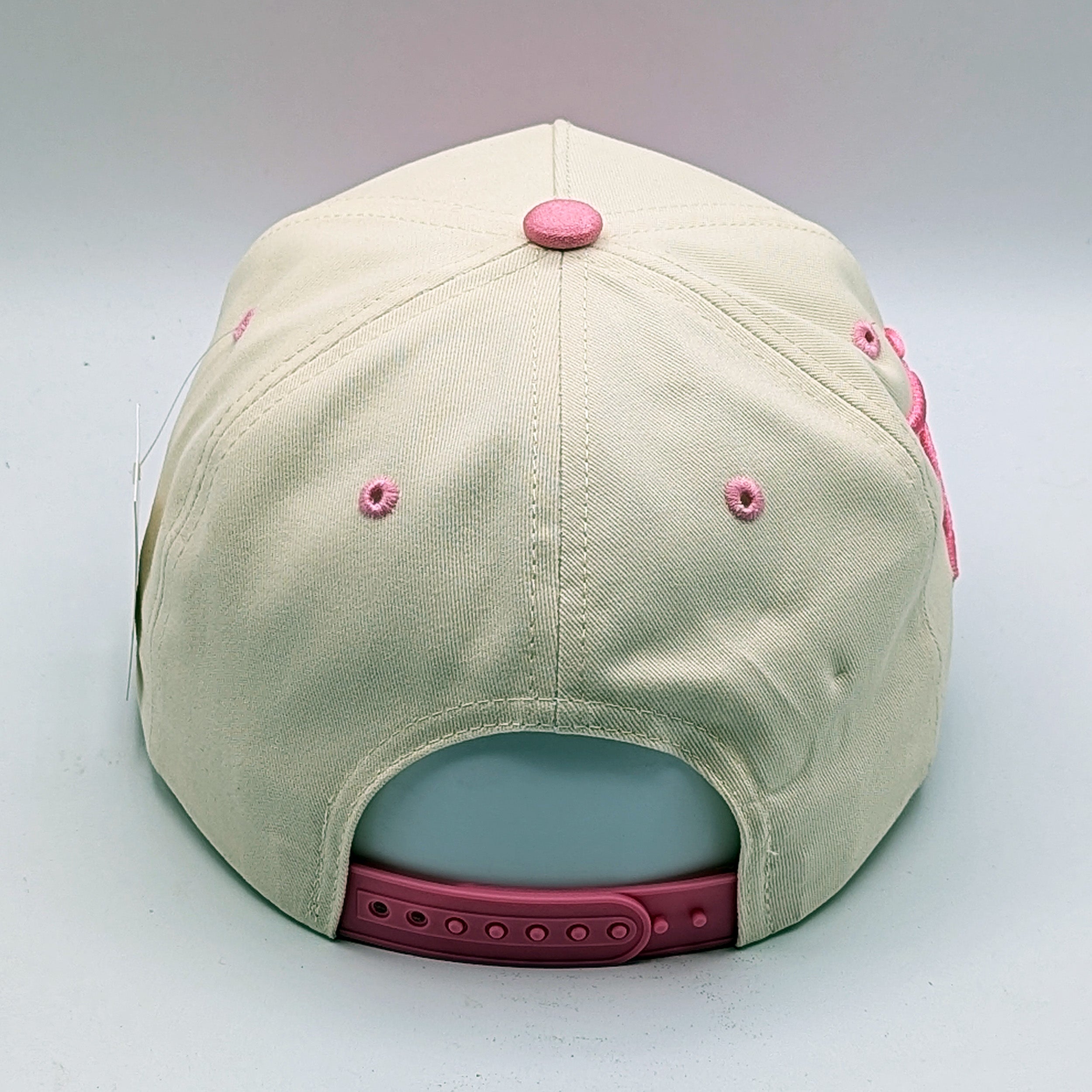 Disneyland Disney LAnd Hat - Multiple Colors - 5-Panel Embroidered Snapback Hat A-Frame