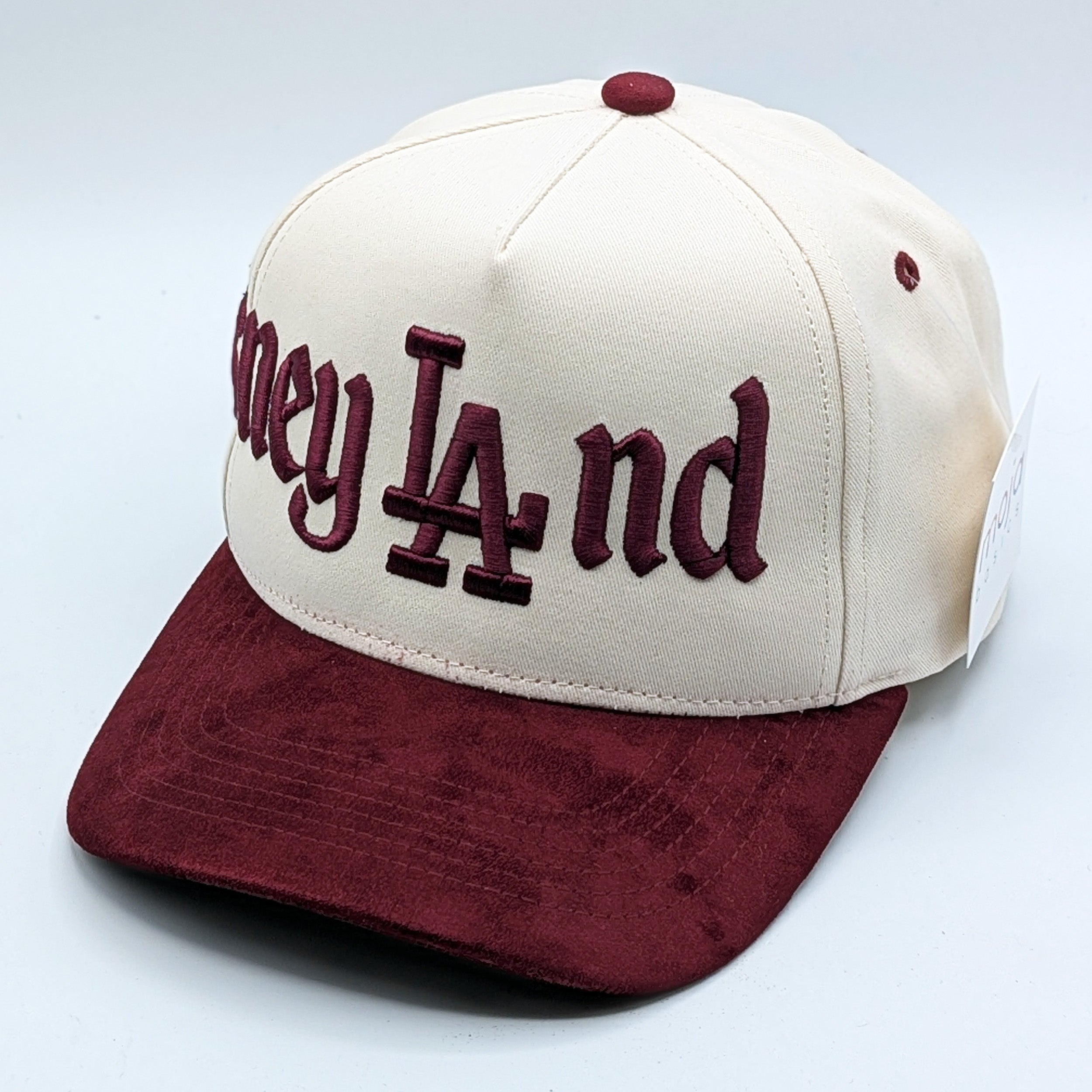 Disneyland Disney LAnd Hat - Multiple Colors - 5-Panel Embroidered Snapback Hat A-Frame