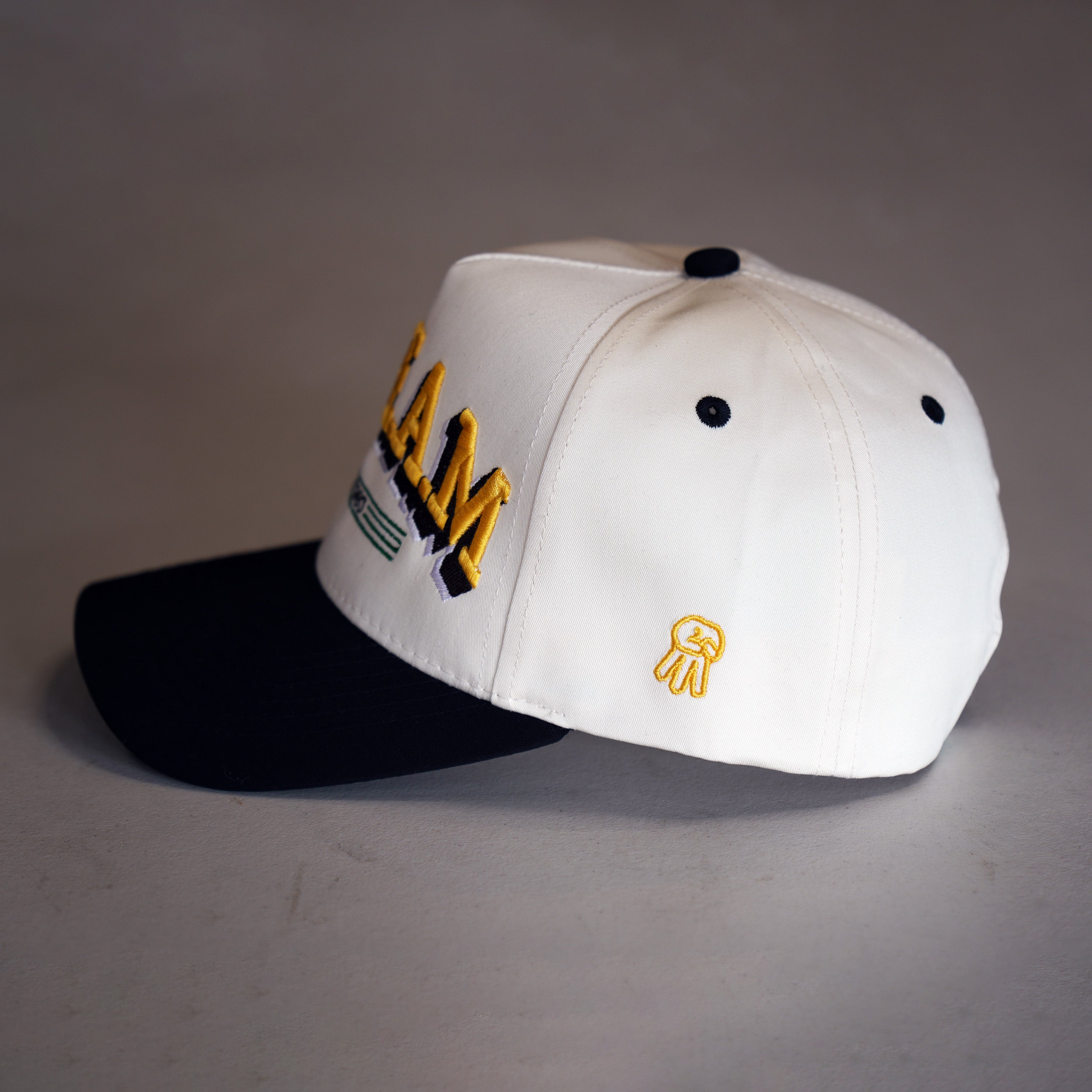 C.R.E.A.M - Two-Tone - Premium Snapback | CREAM – mojabasics