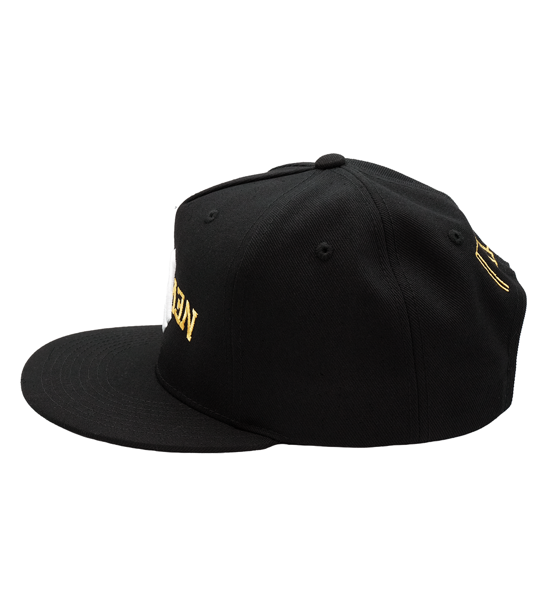 Flipped City NY - Urban Snapback