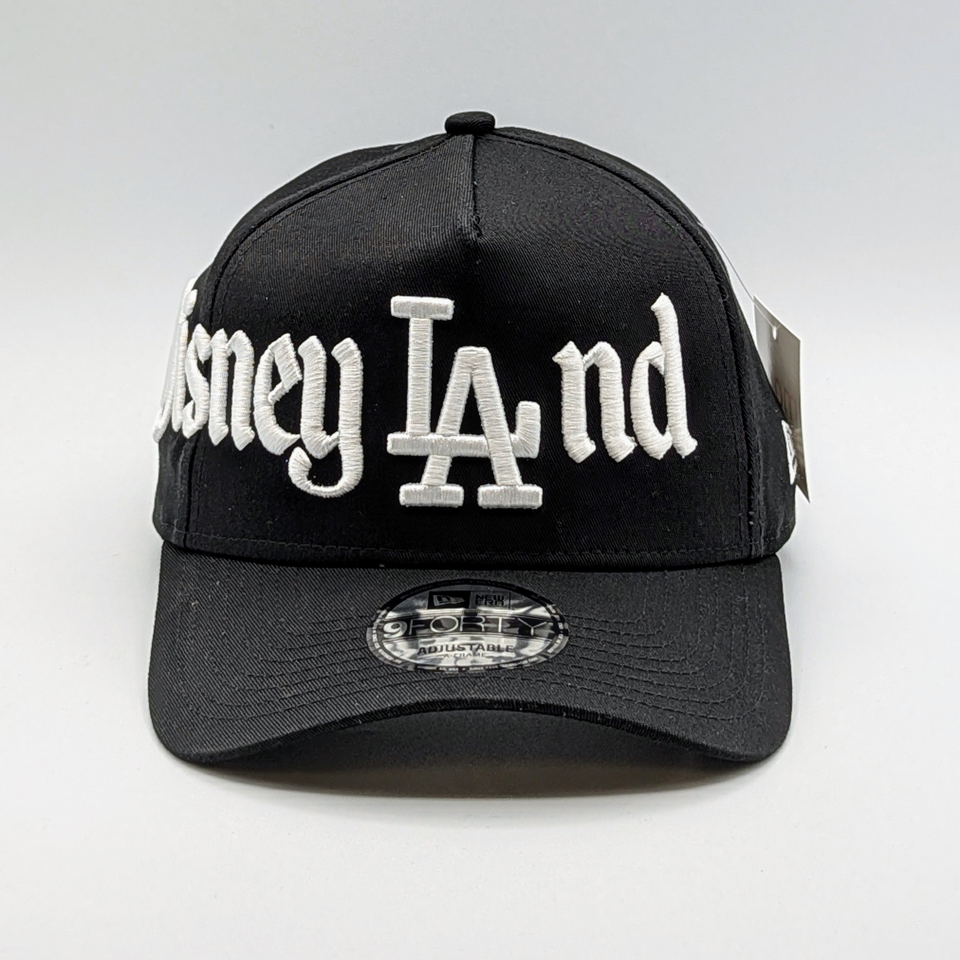 DisneyLAnd - Snapback hat
