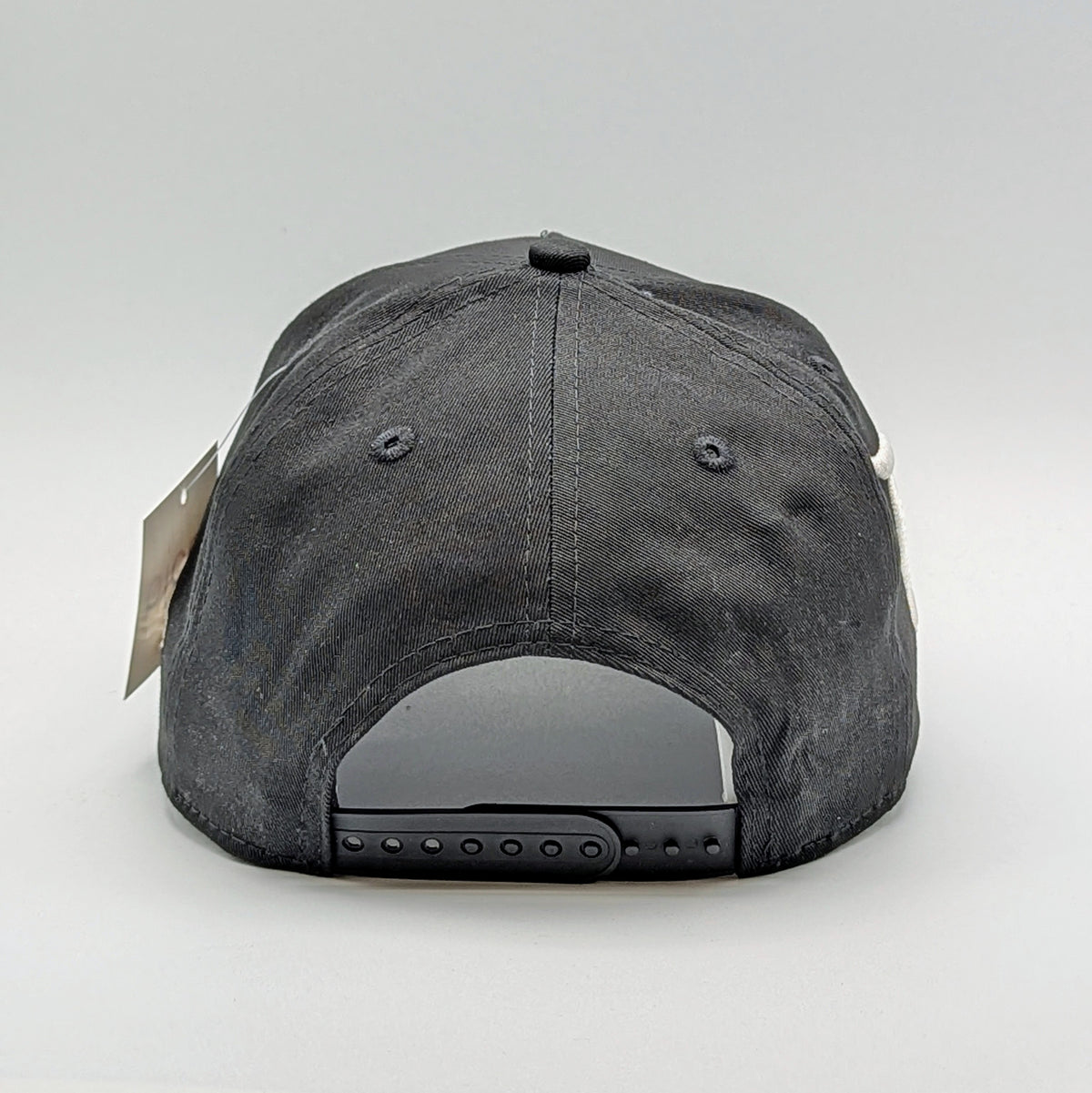 DisneyLAnd - Snapback hat