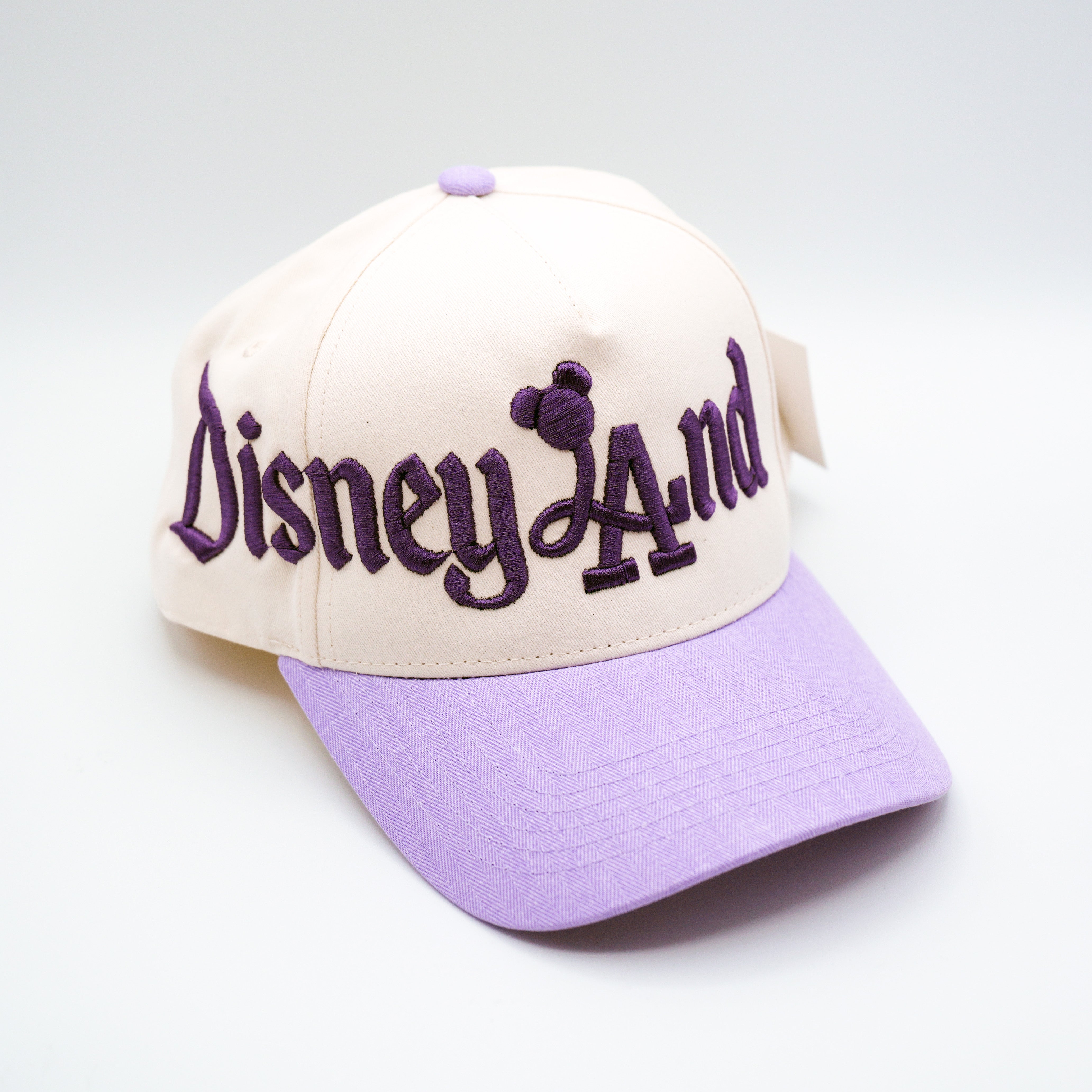 Disneyland dLAnd Balloon Hat - 5-Panel Embroidered Snapback Hat A-Frame