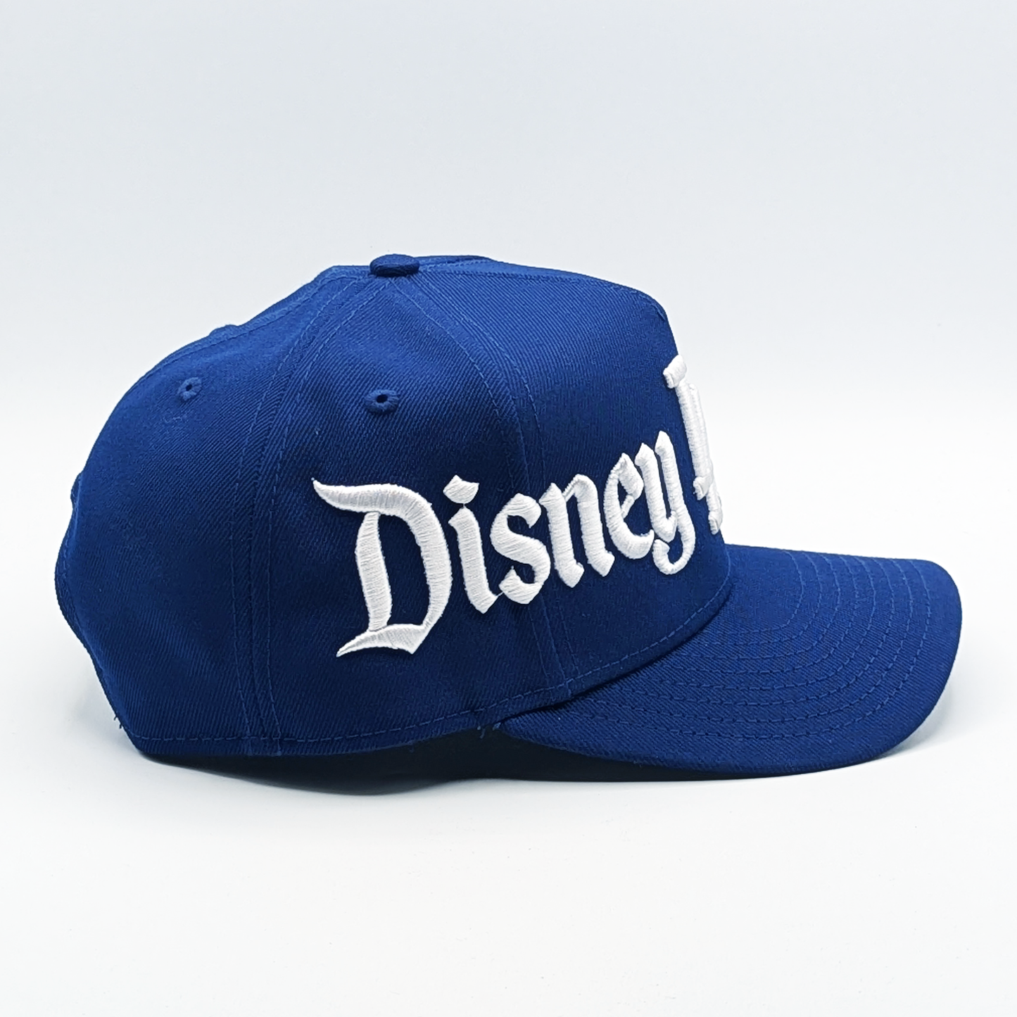 DisneyLAnd - Snapback hat