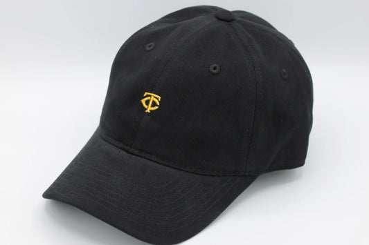 Premium TWINS Dad Hat - MINNESOTA