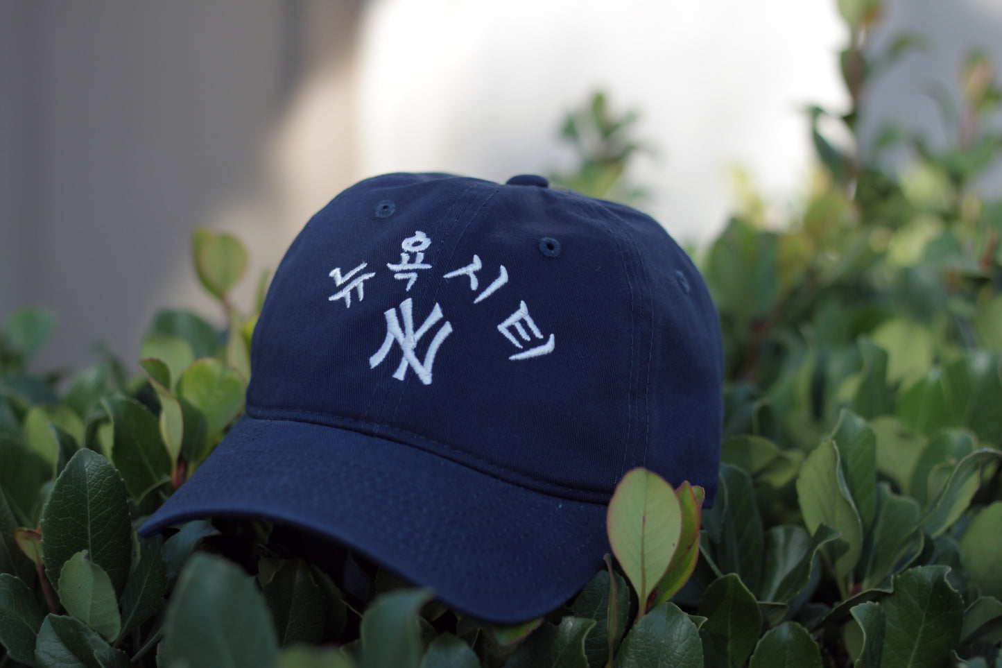 New York Dad Hat - Korean Phonetic Design